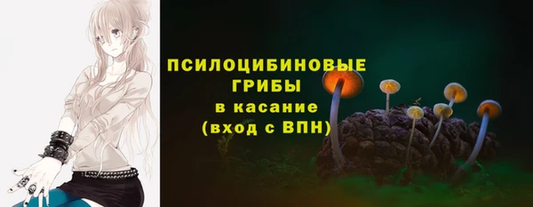 ешки Армянск