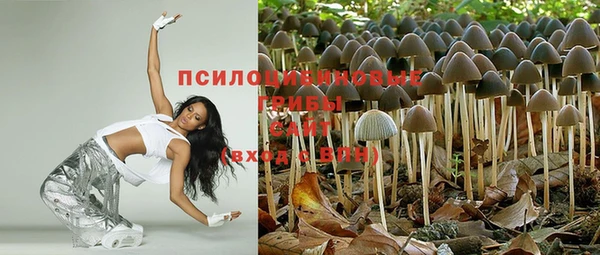 гашиш Арсеньев